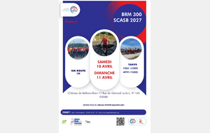 BRM 300